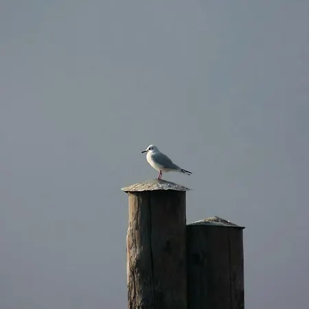 La Ca' Vegia Casa vacanze *