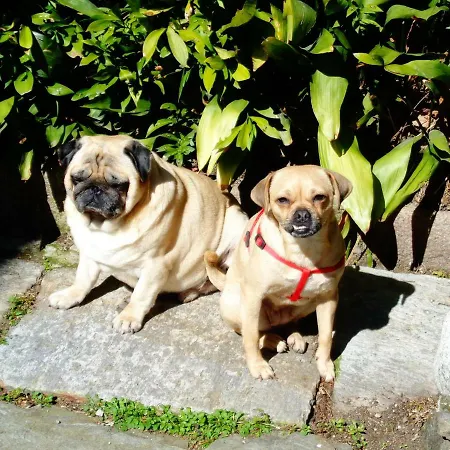 La Ca' Vegia Holiday home Stresa