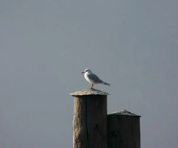 La Ca' Vegia Nyaraló *