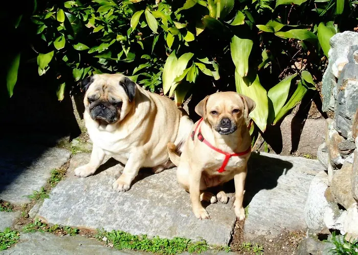 La Ca' Vegia Nyaraló Stresa